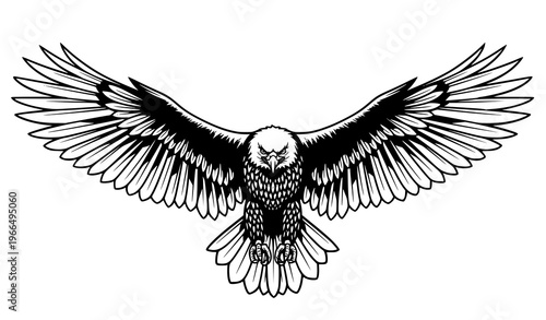 Eagle with wings spread vector illustration majestic bird