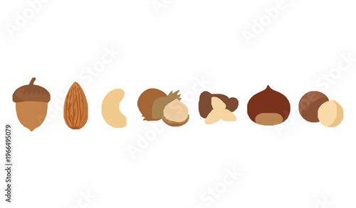 Nut icon set acorn almond cashew flat vector collection