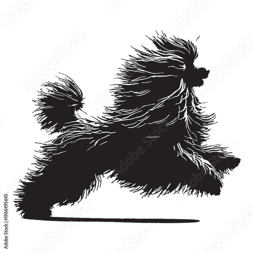 Puli dog unique corded coat breed, Hungarian herding dog, intelligent and agile, energetic worker.