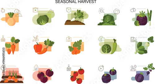 Seasonal vegetable harvest infographic flat vector illustration farming calendar with fresh produce growth stages and agricultural icons collection