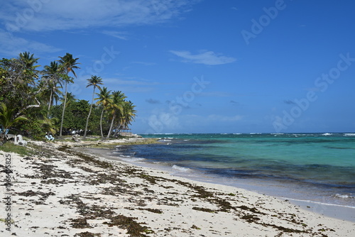 Plage à Capesterre Marie Galante