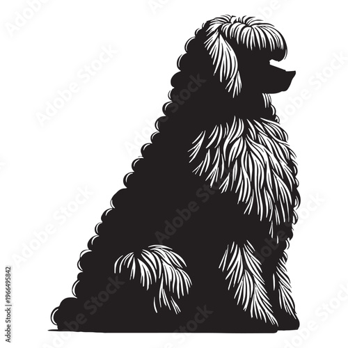 Puli dog unique corded coat breed, Hungarian herding dog, intelligent and agile, energetic worker.