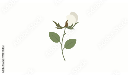 Vertical cotton flower icon flat vector illustration