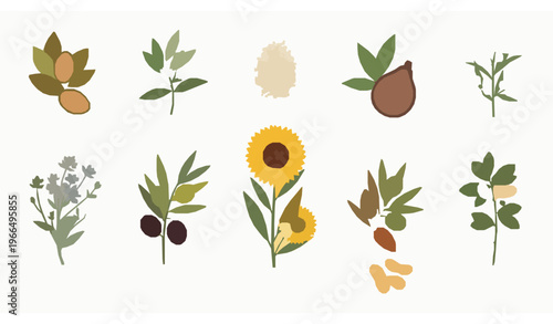 Vertical cosmetic plant set natural skincare vector illustration