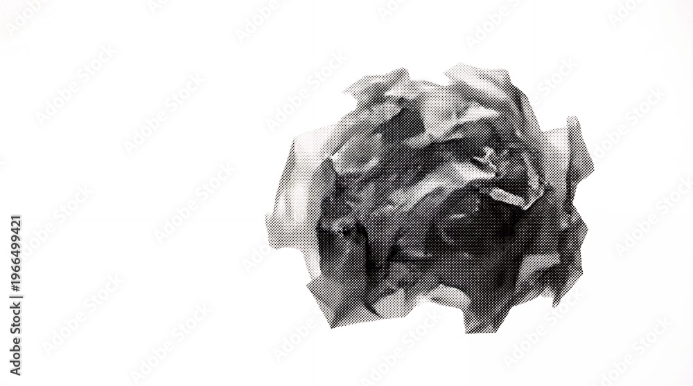 Fototapeta premium Black and white artistic close up of textured rose flower isolated on white background