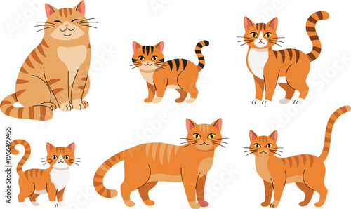 Cute Ginger Cat Illustration Set Featuring Domestic Pets in Various Sitting, Standing, and Walking Poses with Striped Fur in Clean Vector Design Style.