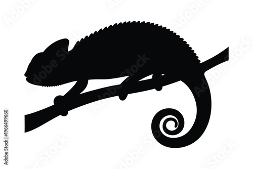 Chameleon on a branch silhouette vector illustration, Black chameleon icon vector