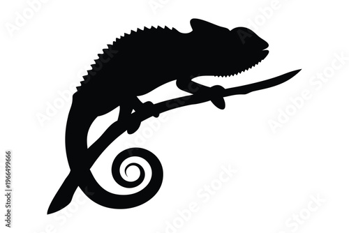 Chameleon on a branch silhouette vector illustration, Black chameleon icon vector