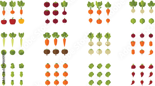 Vegetable growth stages collection flat vector illustration organic produce development from sprout to harvest farming infographic set