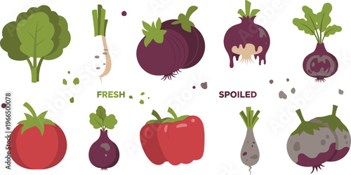 Fresh versus spoiled vegetables comparison flat vector illustration healthy produce and rotten food concept with tomato onion beet and greens