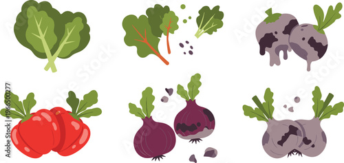 Fresh and rotten vegetables comparison flat vector illustration spoiled produce with mold and damaged organic food concept set
