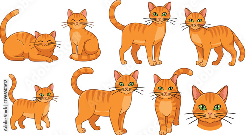 Ginger Cat Character Illustration Set Featuring Domestic Feline Pets in Various Standing, Sitting, and Walking Poses with Striped Fur in Vector Design Style.