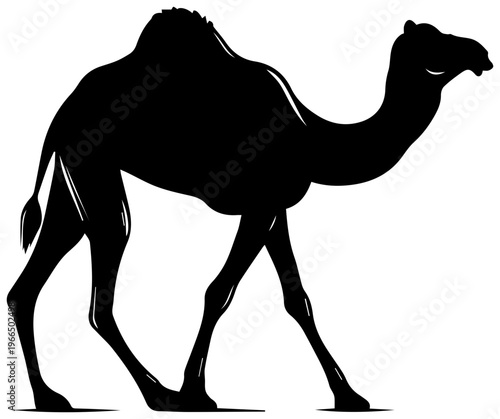 A black silhouette of a camel walking in profile with a prominent hump on a white background