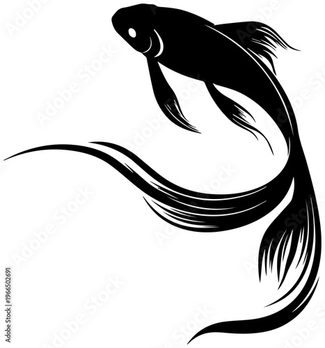 Black fish swimming in profile with flowing tail fin on white background isolated aquatic animal
