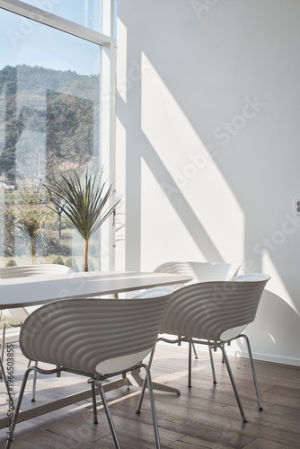 Soft sunlight on modern dining chairs beside full height window