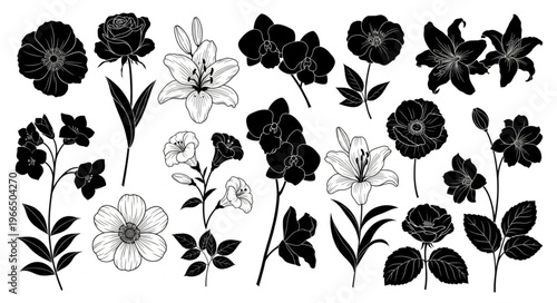 Black and white floral illustration of various flowers and plants.