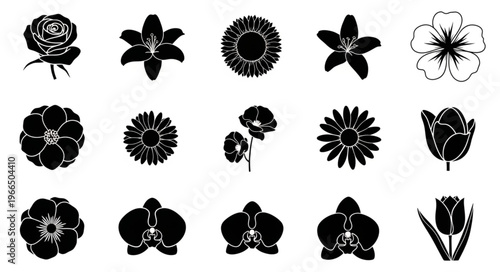 Black and White Floral Silhouettes - A Collection of Blossoms.