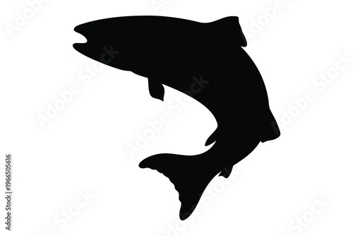 salmon trout silhouette vector, salmon silhouette, freshwater fish vector, fish tattoo