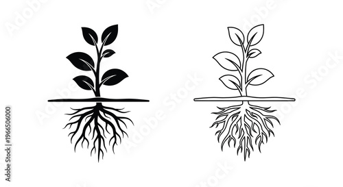 Two sprouting plants with root systems depicted as a bold silhouette