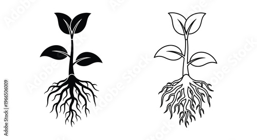 Two sprouting plants with root systems depicted in a dark silhouette