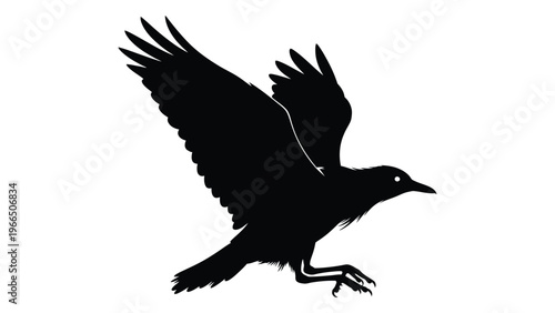 A striking black bird soars through the air wings outstretched in dynamic flight presented as a silhouette high quality professional detailed