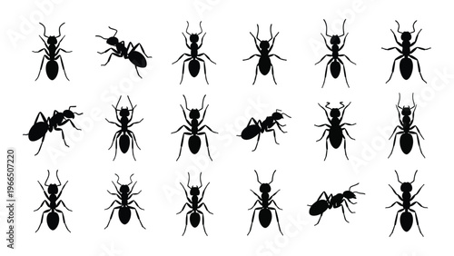 A collection of various ant silhouettes arranged in a grid showcasing different postures and perspectives silhouette high quality professional detailed modern