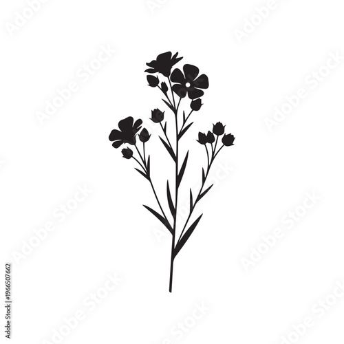 Flax Flower Silhouette, Botanical Plant Vector Illustration