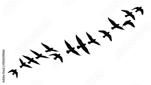 A flock of birds flies in a diagonal formation across a white background creating a striking silhouette high quality professional detailed