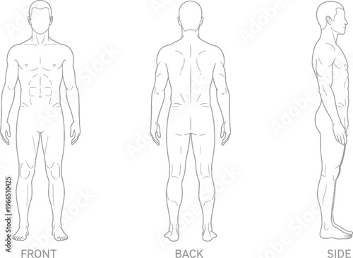 Human anatomy diagrams - front, back, and side views of male figure outline, body shape, figure drawing, medical illustration, scientific illustration, artistic reference, human form, human representa