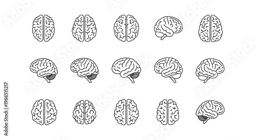 Arrangement of human brain illustrations in a grid layout on a white background