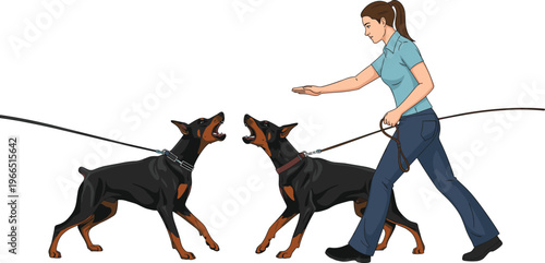 Woman Walking Two Aggressive Doberman Dogs on Leashes Vector Illustration for Pet Training, Security, Guard, and Canine Behavior Illustrations