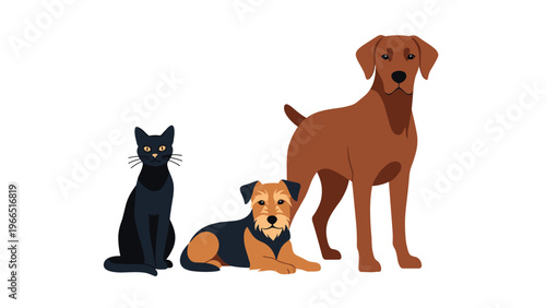 Row of three household pets including a black cat, a small terrier dog, and a large brown dog sitting and standing on a white background.