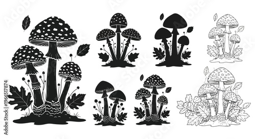 Black and white illustration of various mushroom types with foliage
