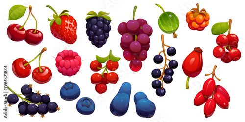 Cartoon berry set with juicy cherry, raspberry, strawberry and blueberry, barberry, black currant, gooseberry and grape, ripe rosehip, sea buckthorn, cloudberry. Vector summer berries