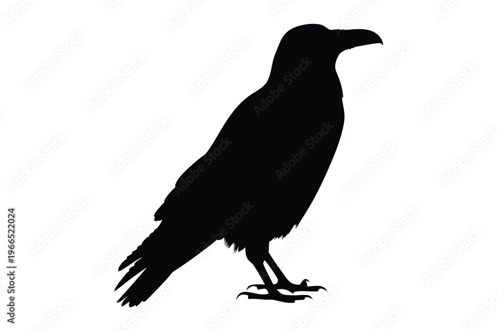 Fototapeta premium Crow raven bird silhouette vector, crow silhouette