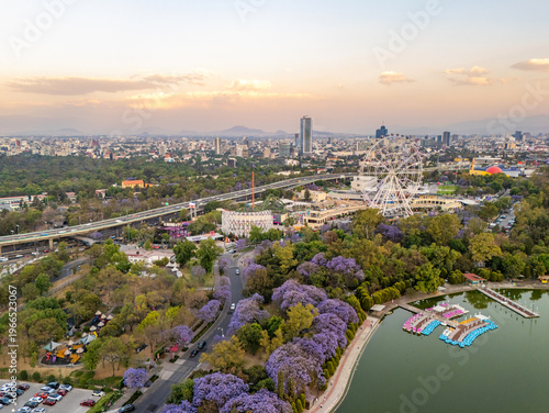 Panoramic View of Jacaranda trees at Chapultepec Park, Mexico City, Sunset scene.