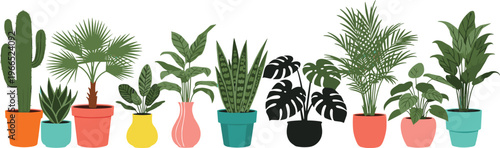 Indoor Houseplant Vector Set Featuring Potted Cactus Palm Monstera Snake Plant and Succulents in Colorful Ceramic Pots for Home Decor and Interior Design