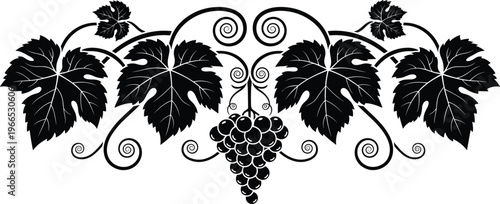 Elegant black and white grapevine foliage illustration with decorative leaves, curling tendrils, and central grape cluster for wine-themed ornamental design