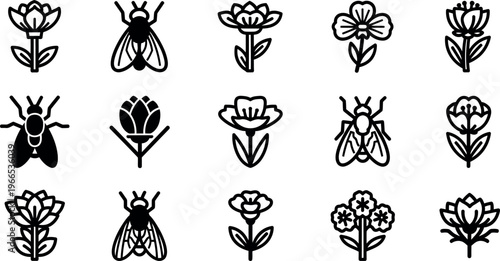 Collection of black line of flowers and flies insect nature botanical