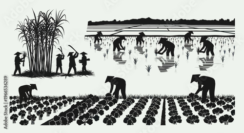 Asian Farmers Cultivating Crops in Rural Agricultural Landscape Silhouette