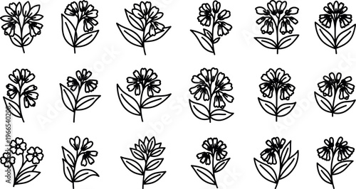 Set of black line floral with bell shaped flowers floral flower botanical line black and white