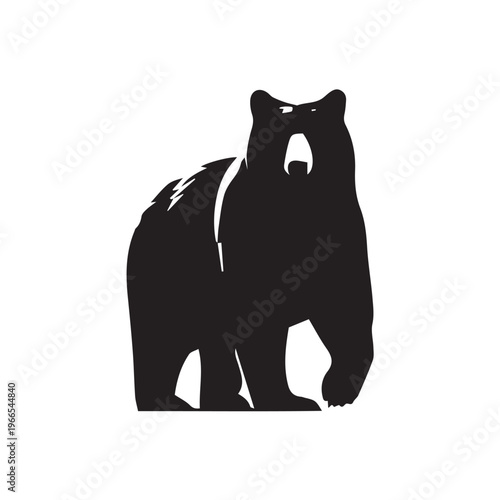 black bear on white background