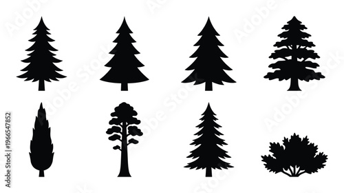 Assortment of evergreen trees and coniferous plants isolated on transparent background vector