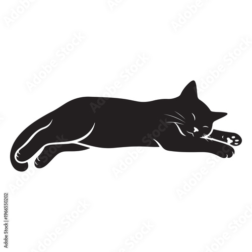 Black cat lying down in a relaxed position