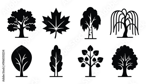Different tree species and leaf silhouettes set collection featuring maple birch and willow outlines