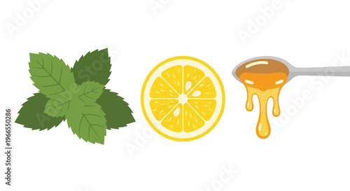 Flat lay of mint leaves, lemon slice, and honey on a spoon against a clean white background.