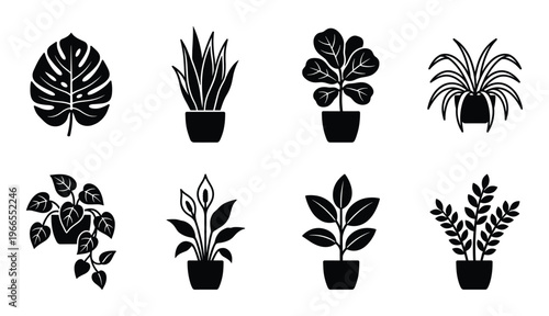Houseplant silhouette icons featuring monstera snake plant fiddle leaf fig and indoor flower pots set