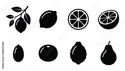 Lemon and kumquat fruit black silhouettes collection vector illustration whole and sliced