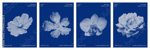 Cyanotype stipple graphic poster set collection. Overlay effect, deep blue color, flower details. Vector  element in retro print style. Design templates for card, social media, banner, cover