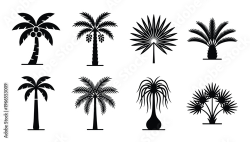 Palm tree silhouette set isolated on transparent background exotic tropical plant coconut palm icons